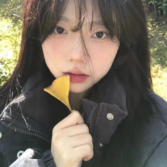 洪福齐天